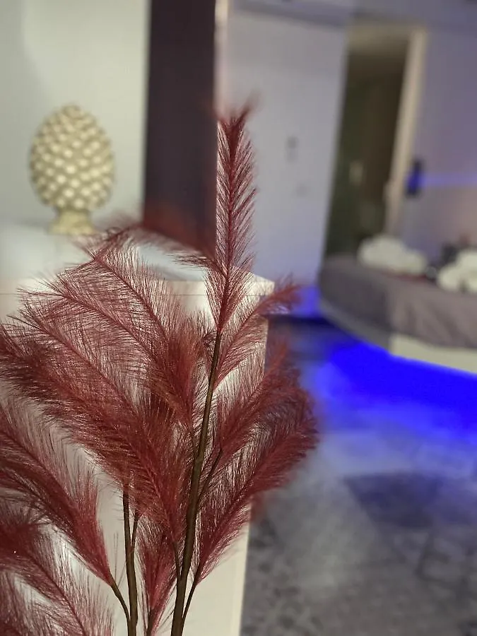 Brimiky House Apartment Syracuse